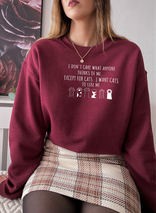 I DONT CARE WHAT ANYONE Sweat Shirt-3