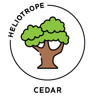 Essential Oil - Cedar-0