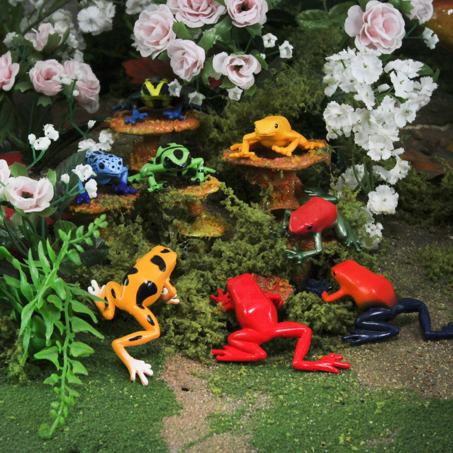 Poison Dart Frogs TOOB®-4